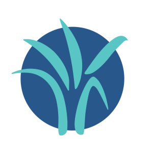 Alliance E-Learning Platform